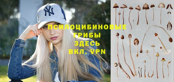 каннабис Инта