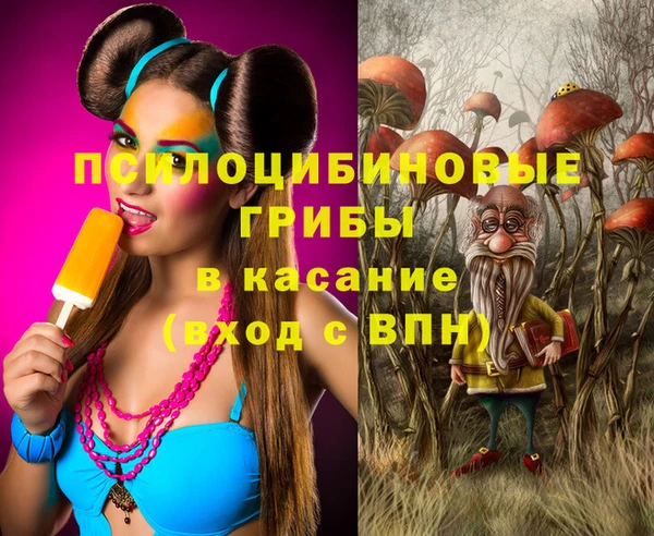 spice Беломорск