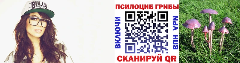 Галлюциногенные грибы мухоморы  Красный Холм 