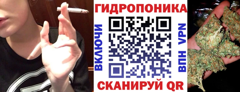 Марихуана план  Красный Холм 